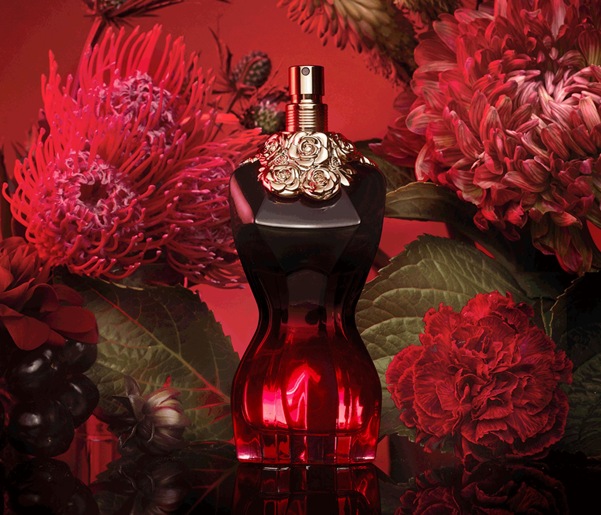La Belle Le Parfum Eau de Parfum Intense for Women | Jean Paul 